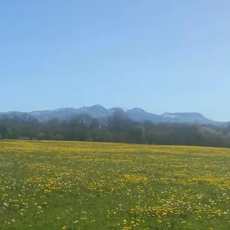 Domaine De Bos Frühstückspension Bagnols (Puy-de-Dome)