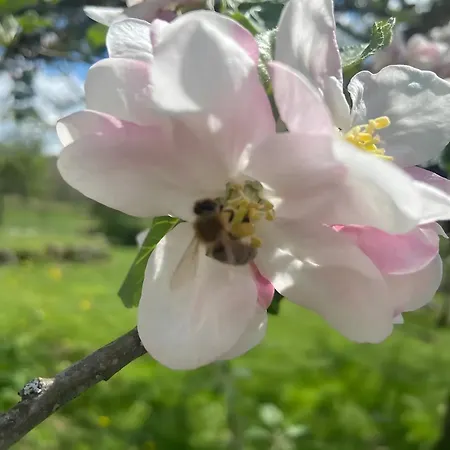 Domaine De Bos Frühstückspension 3*