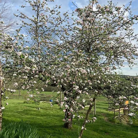 Frühstückspension Domaine De Bos