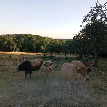 Domaine De Bos 3* Bagnols (Puy-de-Dome)